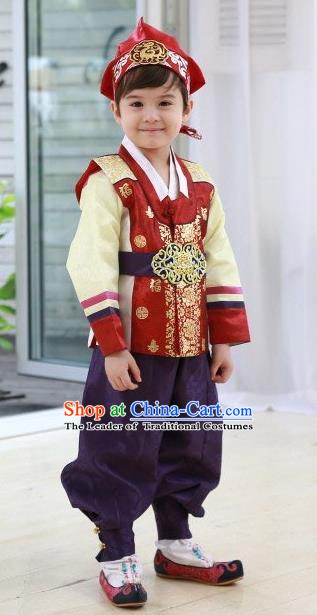 Korean Traditional Hanbok Clothing Korean Boys Hanbok Costumes Red Shirt and Purple Pants for Kids