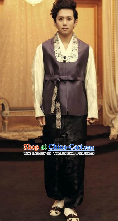 Traditional Korean Costumes Ancient Korean Male Hanbok Bridegroom Purple Vest and Black Pants for Men