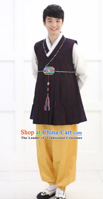 Traditional Korean Costumes Ancient Korean Bridegroom Hanbok Purple Vest and Yellow Pants for Men