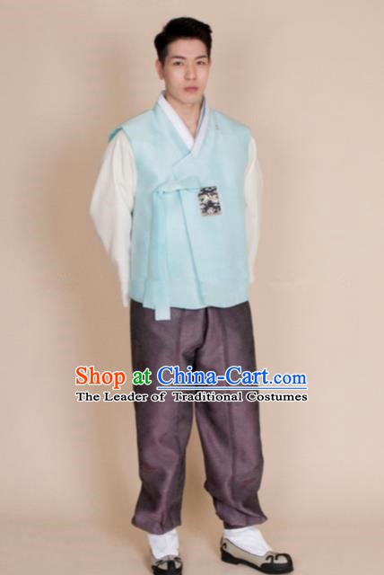 Traditional Korean Costumes Ancient Korean Bridegroom Hanbok Blue Vest and Purple Pants for Men
