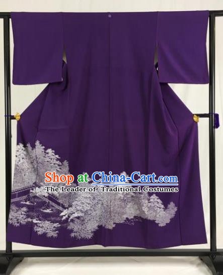 Traditional Asian Japan Clothing Japanese Fashion Apparel Kimono Costume