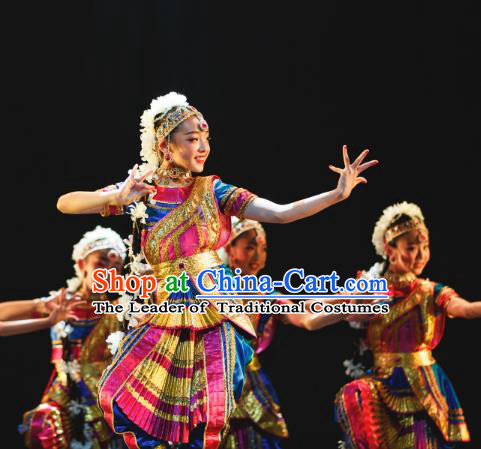 Traditional Chinese Indian Nationality Folk Dance Embroidered Costume, China Ethnic Minority Dance Clothing for Women