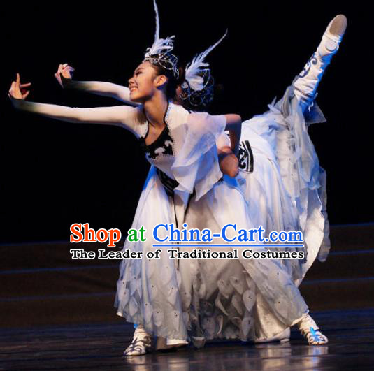 Traditional Chinese Folk Dance Pavane Ethnic Costume, China National Minority Dance Dress Clothing for Women
