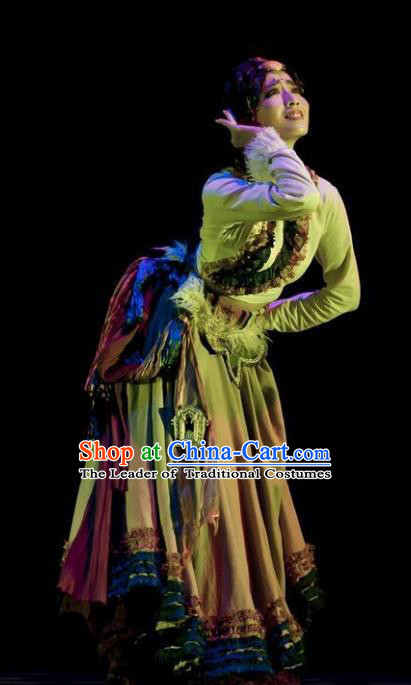 Traditional Chinese Tibetan Dance Ethnic Costume, Folk Dance Zang Minority Nationality Dance Clothing for Women