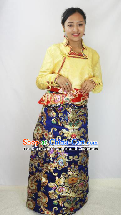 Chinese Traditional Minority Costume Tibetan Navy Brocade Skirt Zang Nationality Clothing for Women