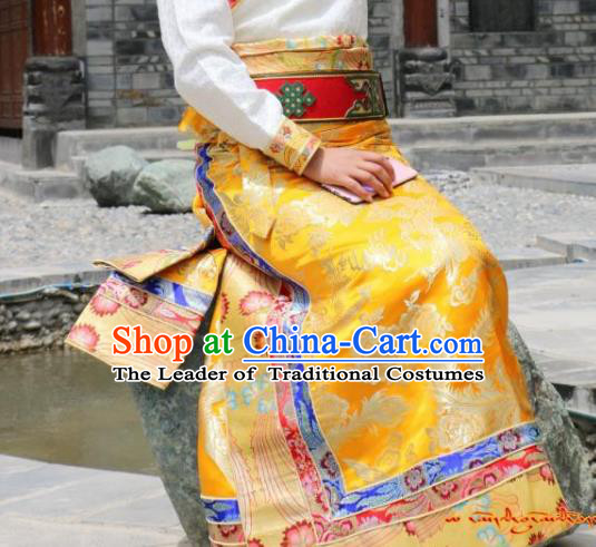 Traditional Chinese Zang Nationality Dance Costume China Tibetan Minority Enthic Clothing