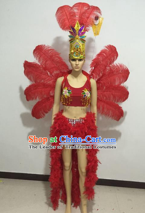 Custom Samba Dance Uniforms Brazilian Carnival Costumes Professional  Catwalks Clothing Woman Swimsuits and Red Feather Butterfly Wings Headdress