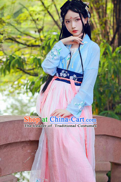 Chinese Ancient Swordswoman Dress Song Dynasty Young Lady Embroidered Hanfu Clothing for Women