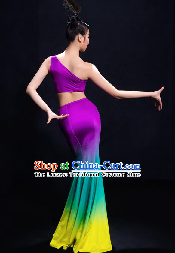 Traditional Chinese Fan Dance Folk Dance Costume Classical Yangko Dance Classical Dance Dress