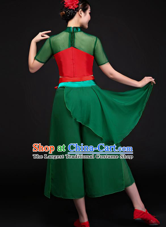 Traditional Chinese Fan Dance Folk Dance Costume Classical Yangko Dance Classical Dance Dress
