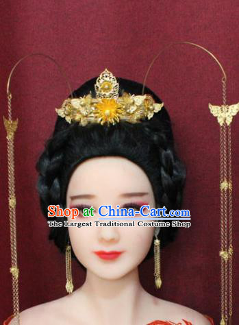 Chinese Ancient Style Hair Jewelry Accessories Cosplay Hairpins Headwear Headdress for Women