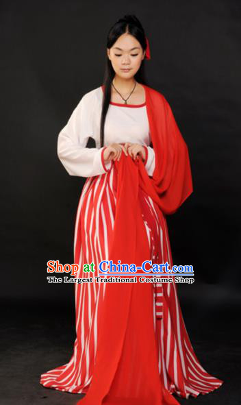 Chinese Ancient Hanfu Traditional Jin Dynasty Embroidered Historical Costumes