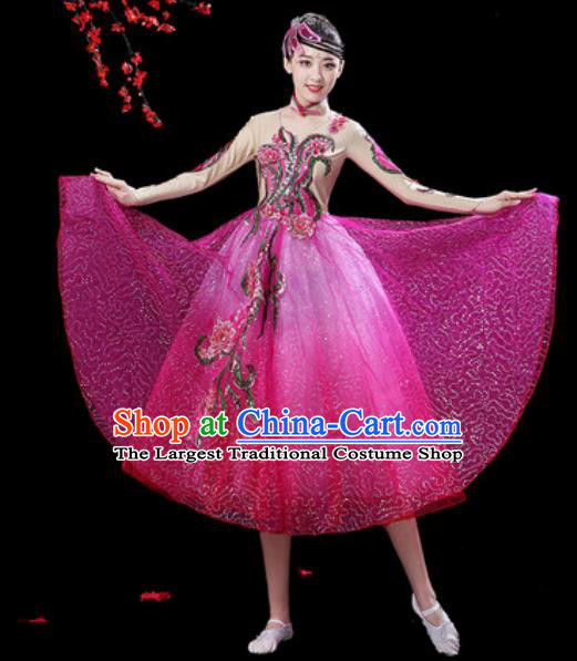 Top Grade Modern Dance Stage Show Costumes Chorus Group Dance Rosy Veil Dress for Women