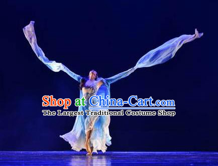 Chinese Traditional Classical Dance Costumes Umbrella Dance Water Sleeve Clothing for Women