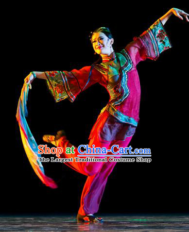 Chinese Traditional Classical Dance Costumes Stage Performance Yanko Dance Clothing for Women