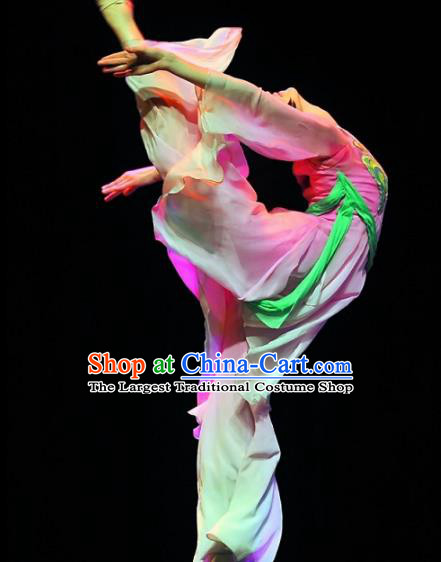 Chinese Traditional Classical Dance Group Dance Pink Costumes Stage Performance Dress for Women