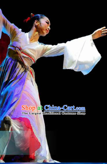 Traditional Chinese Korean Nationality Dance Dress Ethnic Dance Stage Show Costume for Women