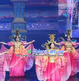 Chinese The Romantic Show of Tanhe Classical Dance Pink Dress Stage Performance Costume for Women