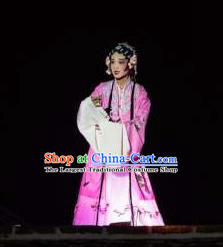 Chinese The Dream Of The Peony Pavilion Opera Du Liniang Dance Pink Dress Stage Performance Costume and Headpiece for Women