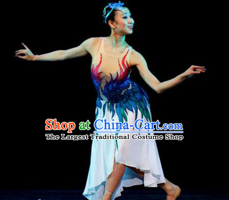 Chinese Female Embroider Classical Dance Dress Stage Performance Costume and Headpiece for Women
