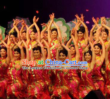Chinese South Beauty Classical Dance Rosy Dress Stage Performance Costume and Headpiece for Women