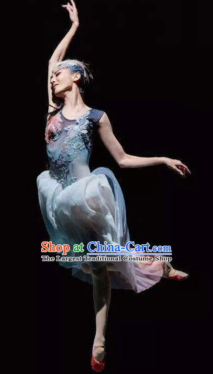 Crested Ibises Chinese Classical Dance Atrovirens Dress Stage Performance Dance Costume and Headpiece for Women