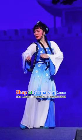 Amber Fate Chinese Beijing Opera Maidservant Blue Dress Stage Performance Dance Costume and Headpiece for Women