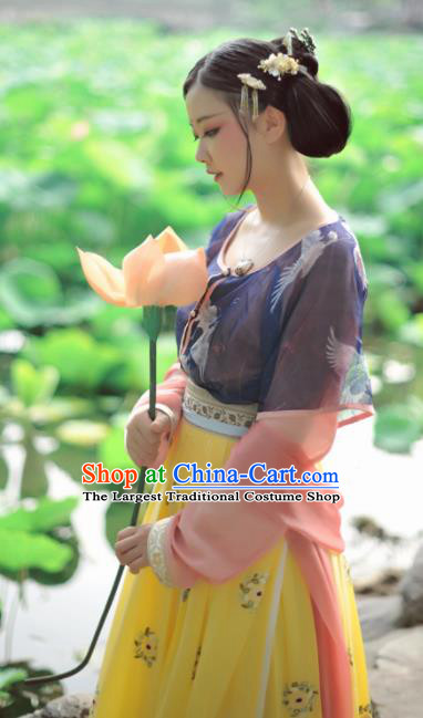 Chinese Ancient Traditional Tang Dynasty Court Maid Historical Costumes Complete Set