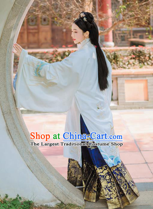 Chinese Ancient Ming Dynasty Imperial Consort Embroidered Historical Costume Complete Set for Women