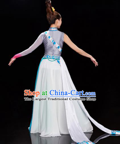 Traditional Chinese Zang Nationality Folk Dance Dress Tibetan National Ethnic Costume for Women