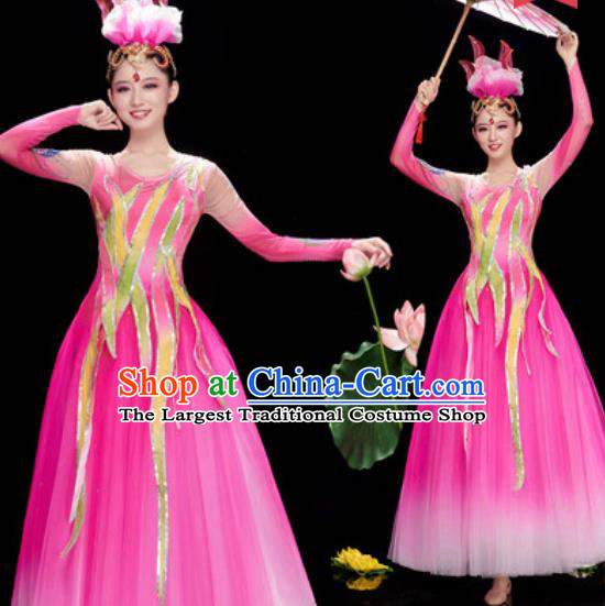 Chinese Traditional Spring Festival Gala Costume National Classical Dance Rosy Veil Dress for Women