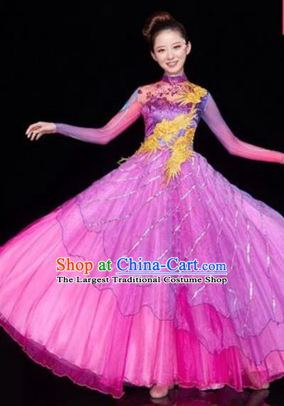 Chinese Traditional Spring Festival Gala Opening Dance Costume Modern Dance Rosy Veil Dress for Women
