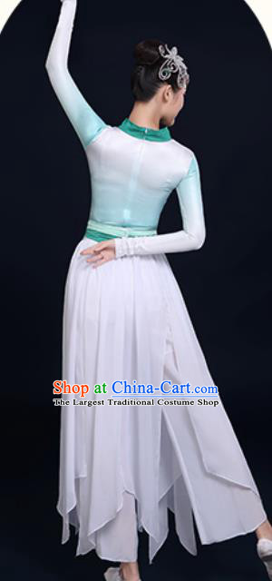 Traditional Chinese Classical Dance Green Dress Umbrella Dance Fan Dance Costume for Women