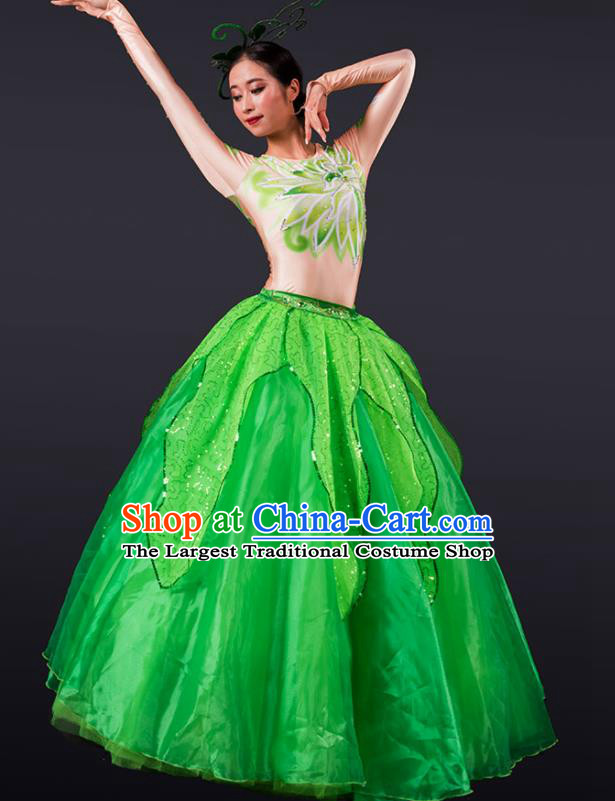 Chinese Spring Festival Gala Stage Green Veil Dress Traditional Modern Dance Opening Dance Costume for Women