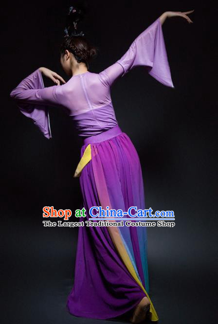 Chinese Classical Dance Lotus Dance Purple Dress Traditional Umbrella Dance Stage Performance Costume for Women