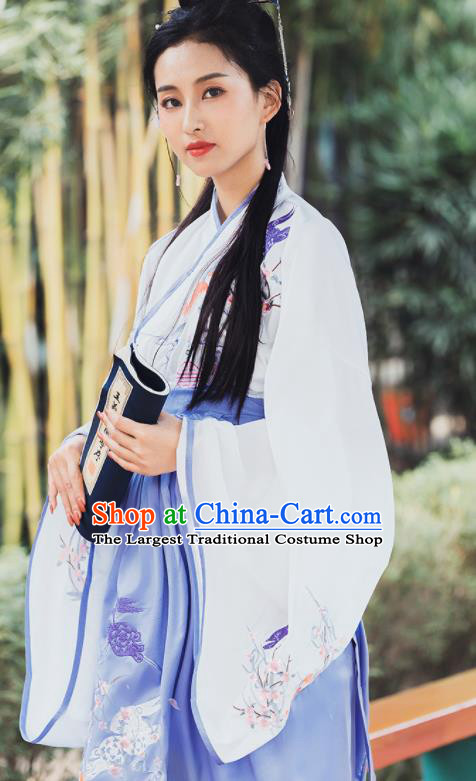 Ancient Chinese Jin Dynasty Princess Historical Costume Traditional Embroidered Hanfu Dress for Women