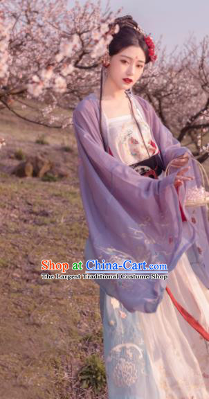 Chinese Ancient Imperial Consort Historical Costume Traditional Song Dynasty Court Embroidered Hanfu Dress for Women