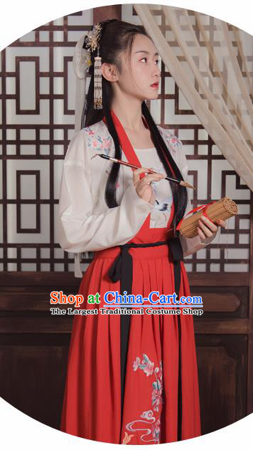 Ancient Chinese Song Dynasty Young Lady Replica Costume Traditional Swordswoman Embroidered Hanfu Dress for Women
