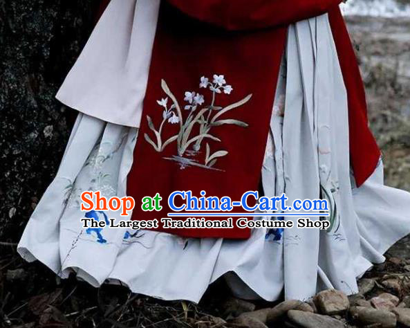 Traditional Chinese Ming Dynasty Palace Princess Hanfu Dress Ancient Court Wedding Replica Costumes for Women