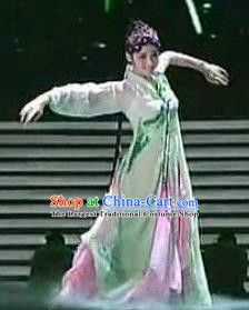 Traditional Chinese Classical Dance Chun Se Costume Group Dance Dress for Women