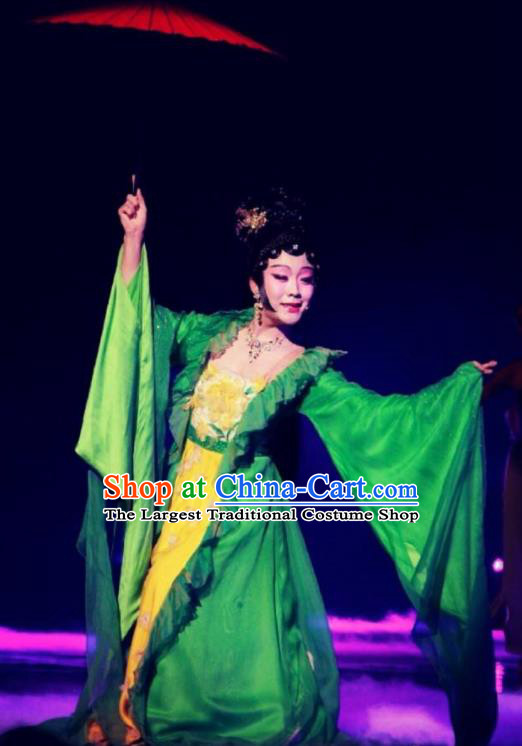 Traditional Chinese Classical Dance Jing Hua Shui Yue Costume Beijing Opera Beautiful Dance Green Dress for Women