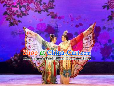 Traditional Chinese Classical Dance Liang Zhu Costume Beijing Opera Butterfly Lovers Stage Show Beautiful Dance Dress for Women