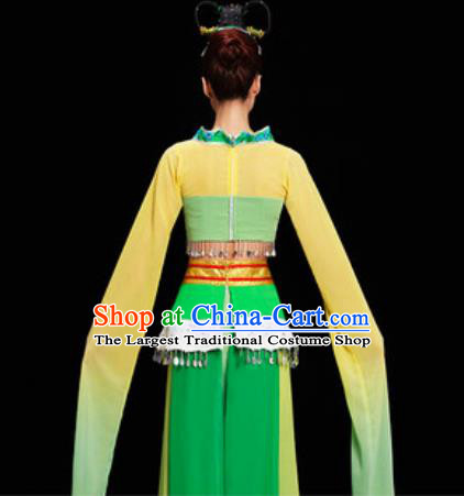 Chinese Spring Festival Gala Water Sleeve Dress Traditional Classical Dance Costume for Women