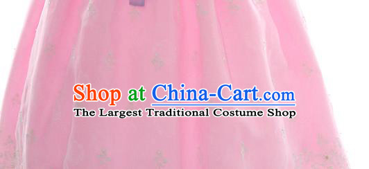 Korean Bride Hanbok Blue Blouse and Pink Dress Korea Fashion Wedding Costumes Traditional Festival Apparels for Women