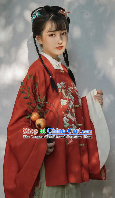 Chinese Ancient Noble Girl Hanfu Apparels Traditional Costumes Ming Dynasty Young Lady Embroidered Red Blouse and Skirt Full Set
