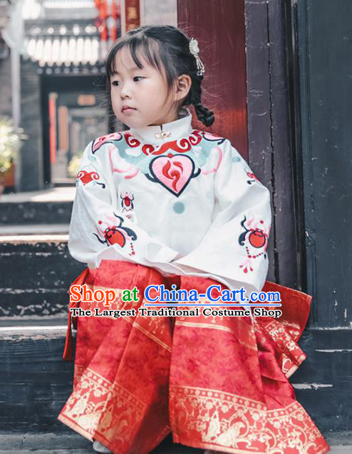 Chinese Traditional Girls Embroidered White Blouse and Skirt Ancient Ming Dynasty Princess Costume for Kids
