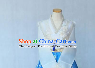 Korean Traditional Garment Bride Hanbok Embroidered White Blouse and Blue Dress Asian Korea Fashion Costume for Women