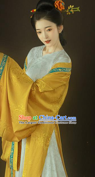 Chinese Ancient Patrician Lady Hanfu Dress Traditional Song Dynasty Court Princess Costumes for Women