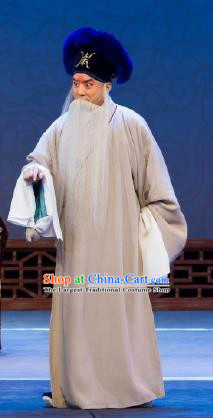 Chinese Peking Opera Elderly Men Apparels Costumes Four Scholars Lao Sheng Jinshi Garment and Hat Complete Set