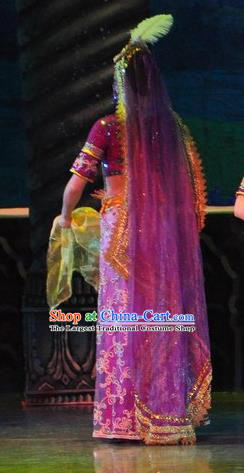 Chinese Traditional Dance Si Lu Hua Yu Rosy Dress Classical Dance Flying Apsaras Stage Performance Costume for Women
